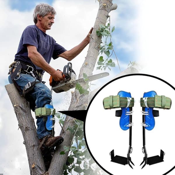 Biloplader til XT60 12V 24V Ladekabel til S2000 EB55, 757/767 Serien—2f