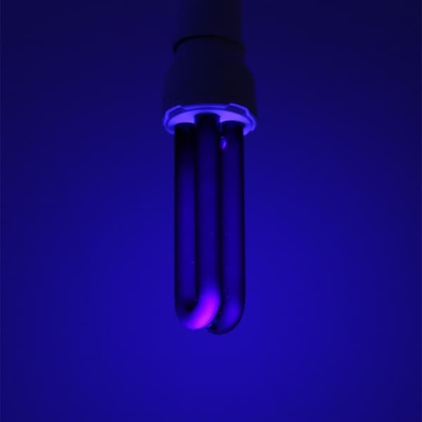 [2F]220V 30W E27 ultraviolettimusta valo UV-hyttysentappolamppu hehkulamput