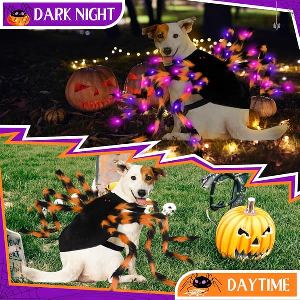 Halloween edderkoppekostume til hunde – velegnet til mellemstore og store racer. S 60cm