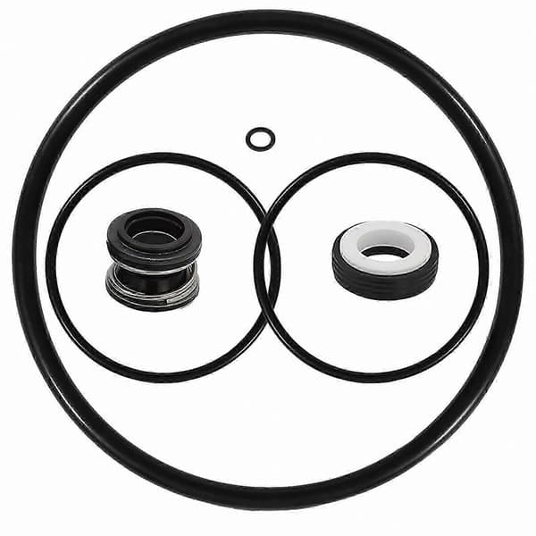 【2F】AquaFlo FloMaster XP2 XP2E Poolpumps tätningssats PS200 O-ring för läckageförebyggande