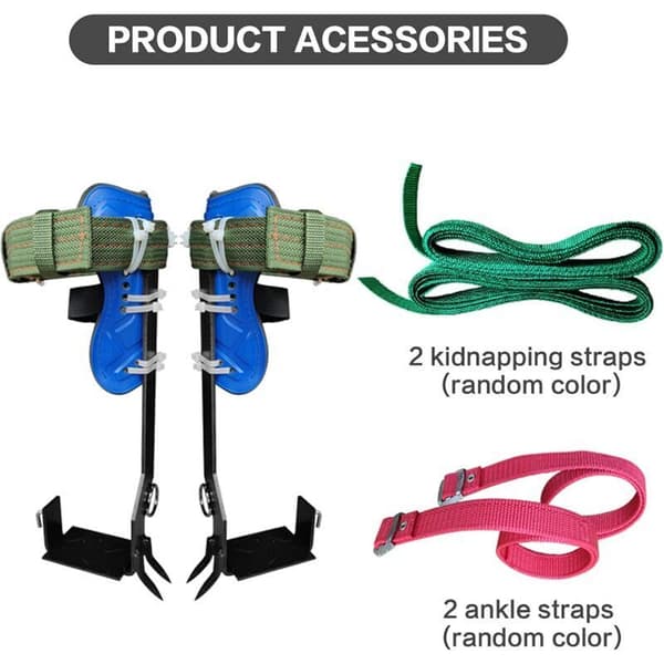 Biloplader til XT60 12V 24V Ladekabel til S2000 EB55, 757/767 Serien—2f