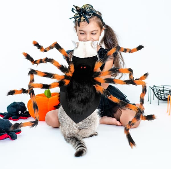 Halloween edderkoppekostume til hunde – velegnet til mellemstore og store racer. S 60cm