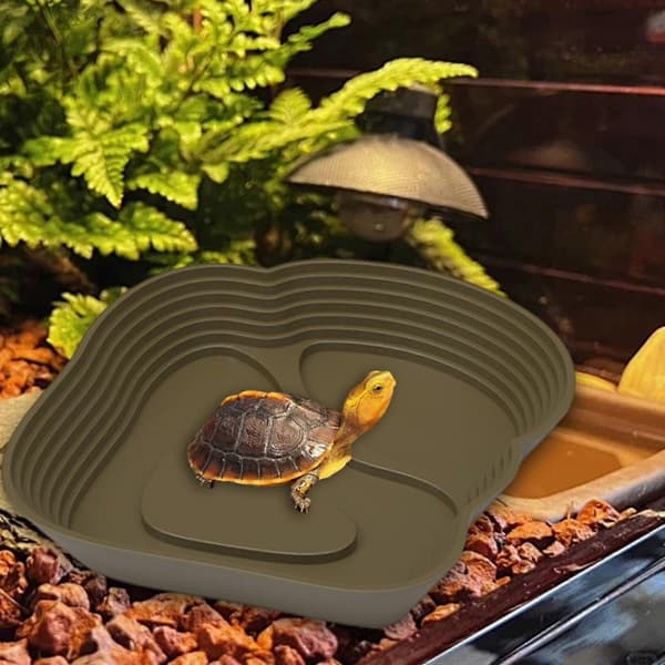 Krybdyr vandskål, skildpaddebassin, med rampe, akvariepynt skildpadde vandskål coffee