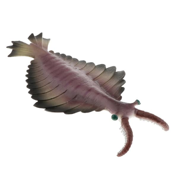 [2F]Realistisk Statisk Havsdjursmodell Leksak Barnpresent Anomalocaris