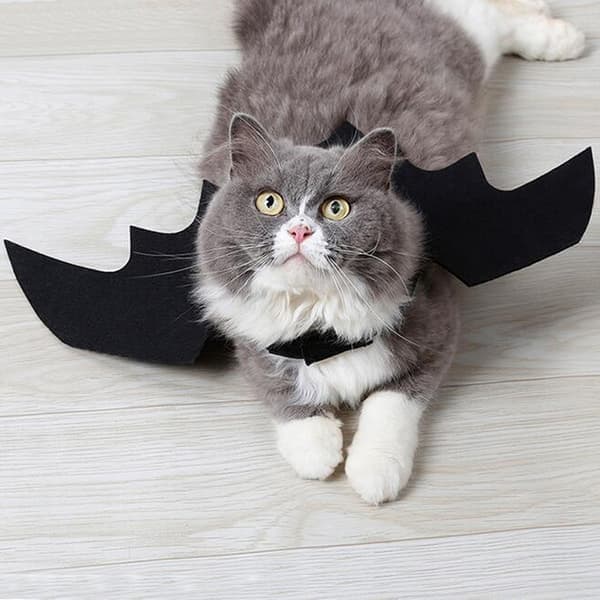 Dejlige flagermusvinger til små hunde og katte til Halloween
