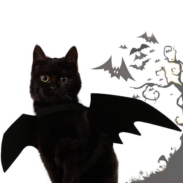Härligt för små hundar katt fladdermus vingar halloween vingar