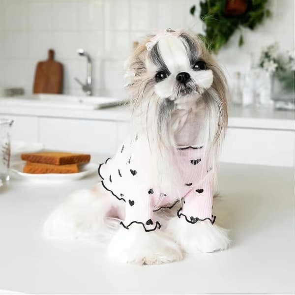 Tøj til små hunde og katte, sommer og efterår, hjerte-mønstret sweater, strækbar, flæse, langærmet outfit