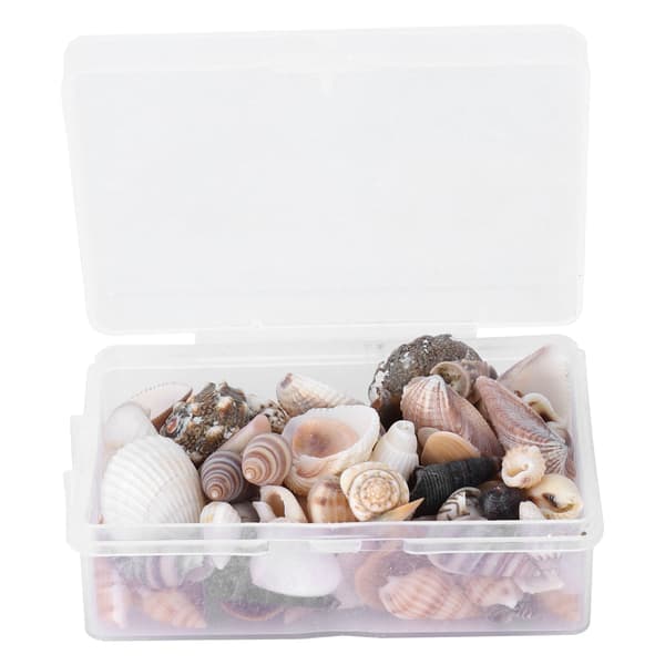 Jewelry Crafts DIY Shell Seashell Set Natural Seashells Conch Wedding Home Decor
