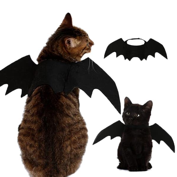 Dejlige flagermusvinger til små hunde og katte til Halloween
