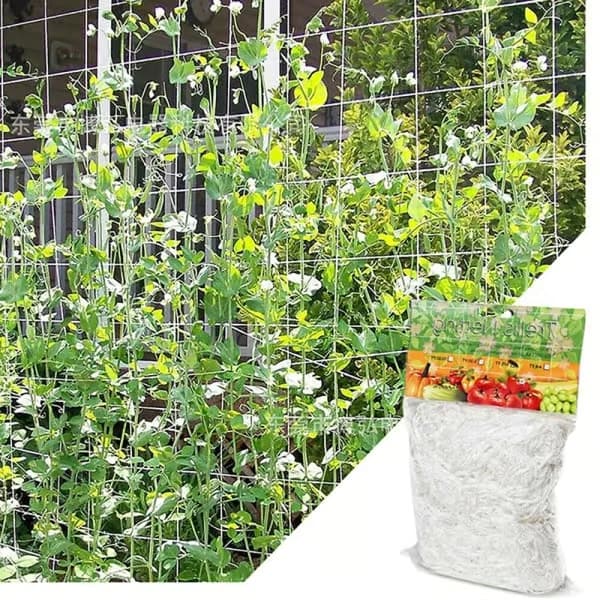 Haveplante klatrenet hegn espalier netstøtte 10m 10m