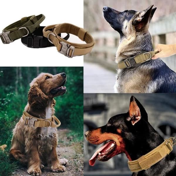 Hundehalsbånd - XVX - Brun - Justerbart - Nylon - Komfortabelt og holdbart