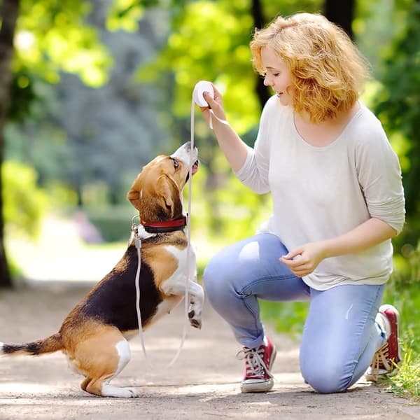 Udtrækkelig hundesnor til små hunde og katte op til 5 kg