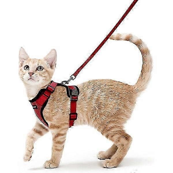 Kattesele Bånd til liten hund Justerbar kattesele