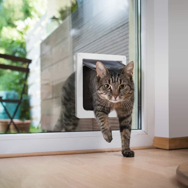 Kattelem med 4-vejs magnet, Kattelem til katte og hvalpe, Kat