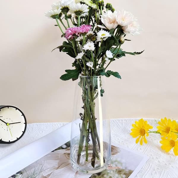 Moderne Glasvase, Klar Iriserende Glas Blomstervase til Hjemme- og Kontorindretning