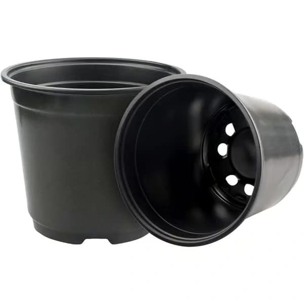 50-pak 15 cm sorte plastikpotter til sukkulenter, grøntsager og stiklinger KLB