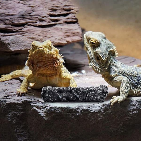 Krybdyrskåle i harpiks til vand og foder, sæt med 2 - 2 stk., grå, 8 cm - skildpadde, firben, gekko, krybdyrskål til vand og foder - re