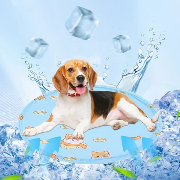 Kølemåtte til hunde, giftfri gel-kølemåtte til hunde og katte, ridsefast, blå
