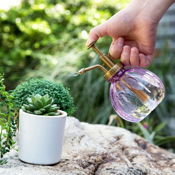 IC Nyhed Antik Blomsterpotte Sprayflaske Have Hård Lilla