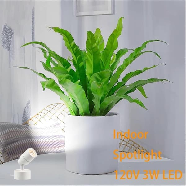 LED indendørs spotlight med timer, dæmpbar uplight, 3 farvetemperaturer, CRI, hvid gulvlampe