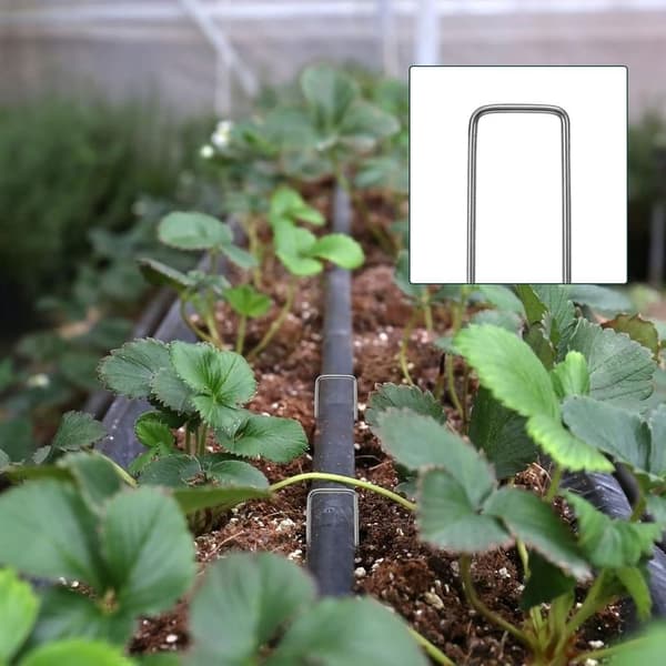 Förpackning med 200 robusta markankare för icke-gräs, ovävd trädgårdsstängsel, trädgård (2,54200 mm)