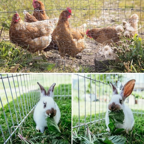 Förpackning med 200 robusta markankare för icke-gräs, ovävd trädgårdsstängsel, trädgård (2,54200 mm)