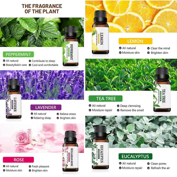 30 ml lavendel eterisk olja kroppsmassage luftfuktare massageolja för helkroppsmassage nackskrapning slappna av fotvård 30 ml eucalyptusing
