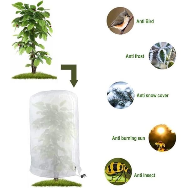 Stort vinterdækken til planter 200 x 140 cm Hvid