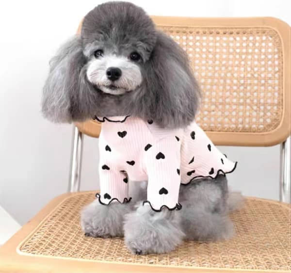 Tøj til små hunde og katte, sommer og efterår, hjerte-mønstret sweater, strækbar, flæse, langærmet outfit