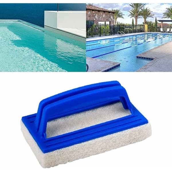 Poolvægsvamprensere - Sunny