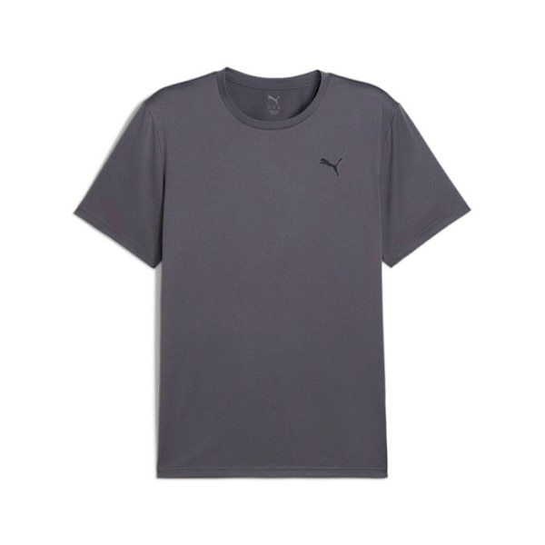 Puma Tad Essential träningströja grå jag