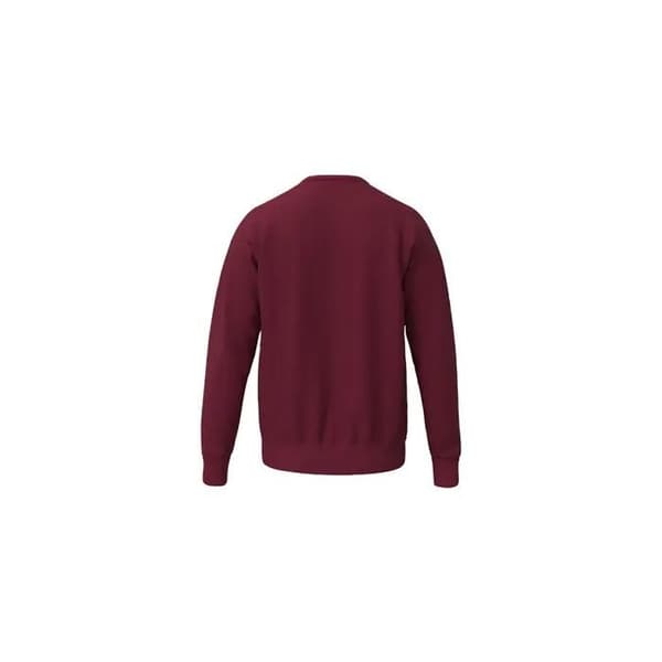 Sweatshirt Erima TS - ny bordeaux ny bordeaux jag