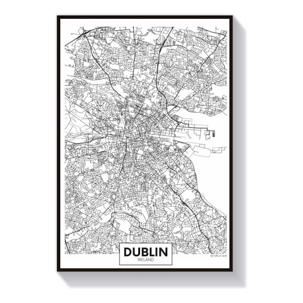 Juliste kartta Dublin 50 cm