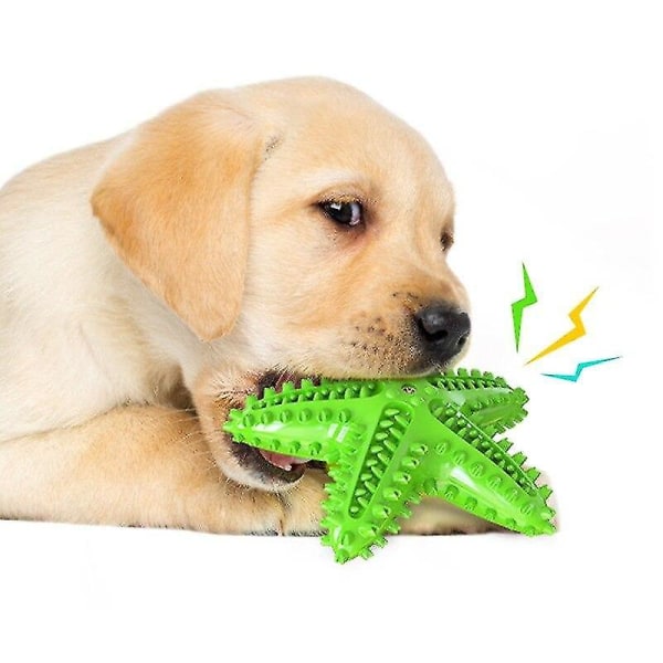Star Shape Hundar Talande leksaker Hundtandborste Leksak Husdjur Molar  Tandrengöring Hundar Interaktiv leksak 13d9 | Fyndiq