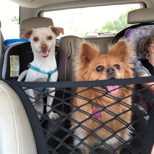 Pet Car Isolation Net Hundesædebetræk Bilbeskyttelsesnet Bil Hundesikkerhedsnet (1 pakke)