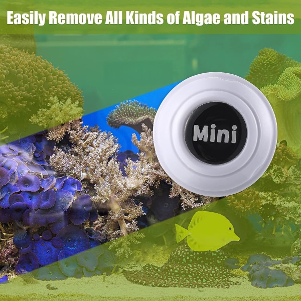 2 stk Liten magnetisk minibørste Fisketankbørste Fjerning av alger Glassbørste rengjøringsverktøy Rengjøring av mosegrønne alger Supersuging (hvit)