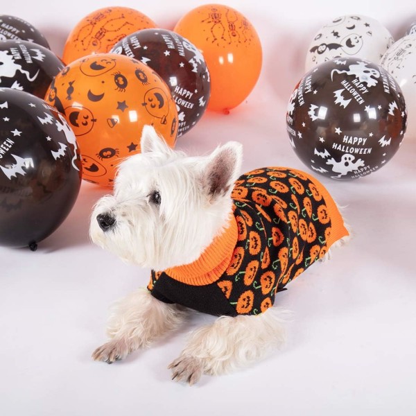 Halloween Hundetrøje Græskar Hundetrøje med bæltehuller til små og mellemstore hundekostume Halloween (M)