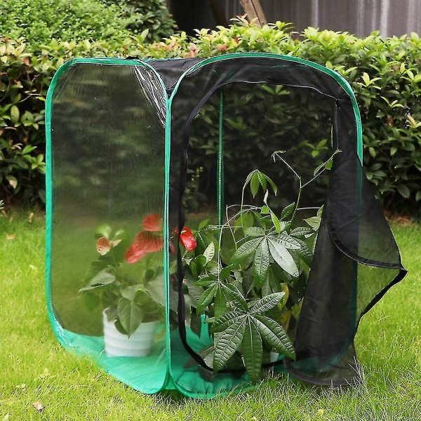 Høyt stort sommerfuglhabitatbur sammenleggbart terrarium pop-up, insekt- og sommerfuglnett Black mesh