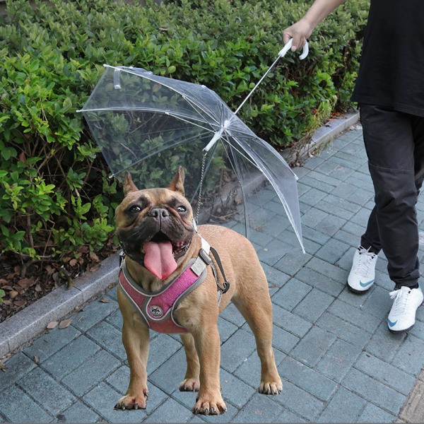 Hundeparaply Pet Paraply Bamser Små hundehvalpe