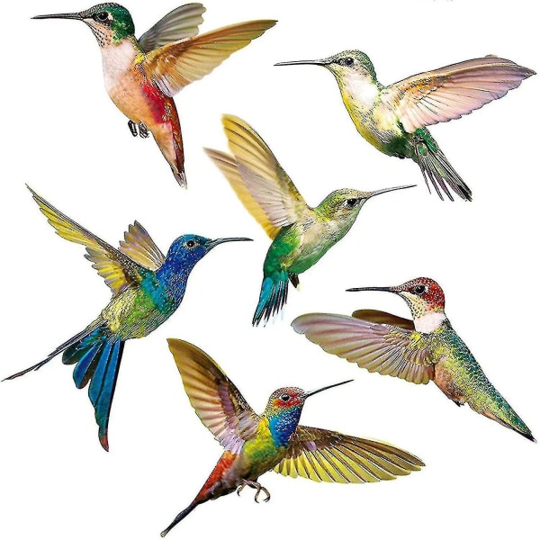 6 Pack Anti-Crush vinduesmærkater Hummingbird vinduesdekaler Fugle vinduesmærkater