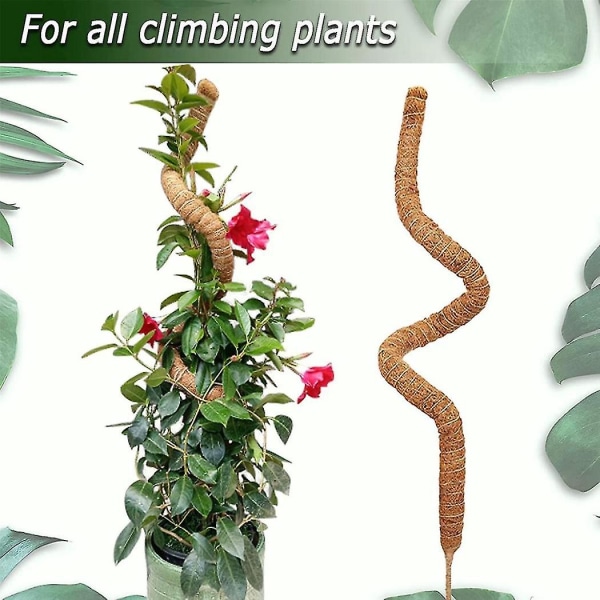 2st 48 tums mossstång, böjbar mossstång för växter Monstera klätterväxter inomhus, trädgårdsspaljé
