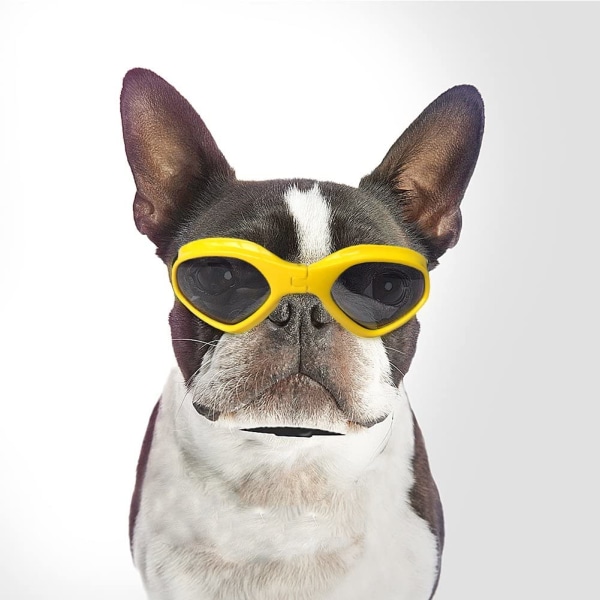 UV-beskyttelse Pet solbriller yellow