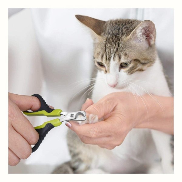 Professionell klosax för katter, nagelklippare för katt i djur