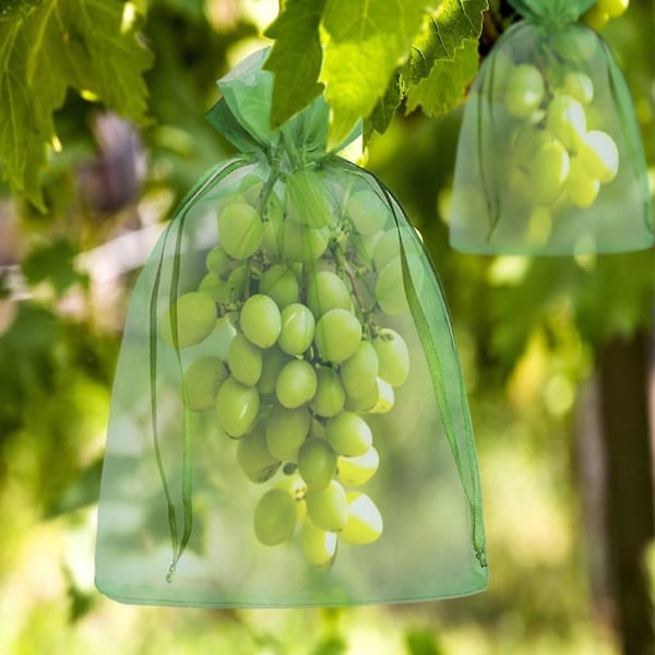 200 stycken Bunch Protection Bag 30x20cm/23x17cm Grape Fruit Organza Bag med Dragsko Ger totalt skydd mot getingar och fåglar gr?n