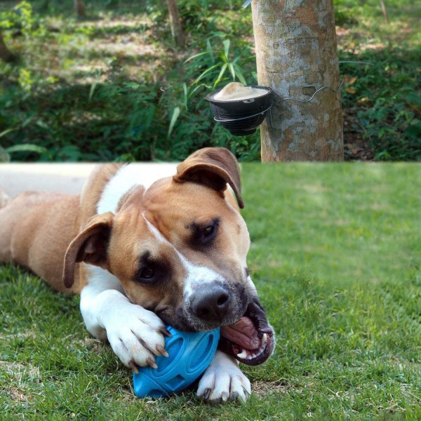 Rubber Puppy Chew Ball, käytännössä tuhoutumaton lemmikkilelu