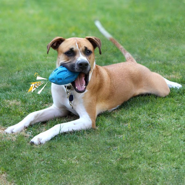 Rubber Puppy Chew Ball, stort set uforgængeligt kæledyrslegetøj