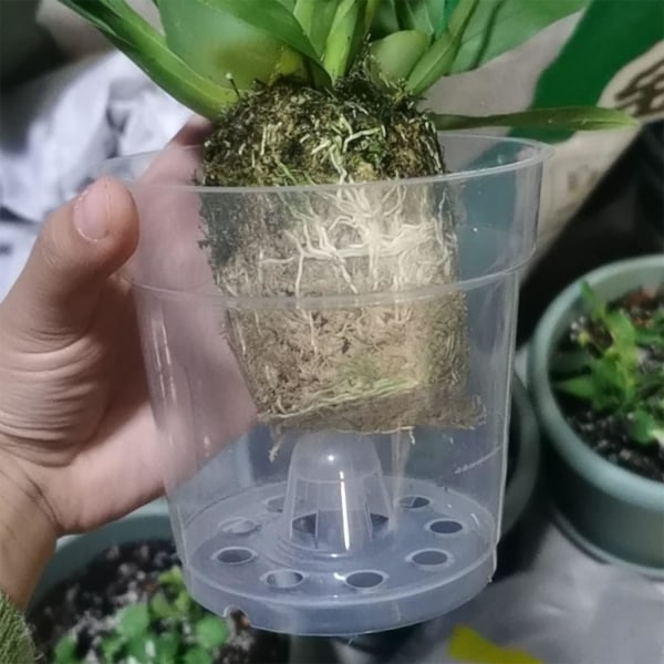 10-pack orkidéblomkrukor Transparenta blomkrukor Förökningskrukor för plantor Mikroväxter Plantering inomhus och utomhus
