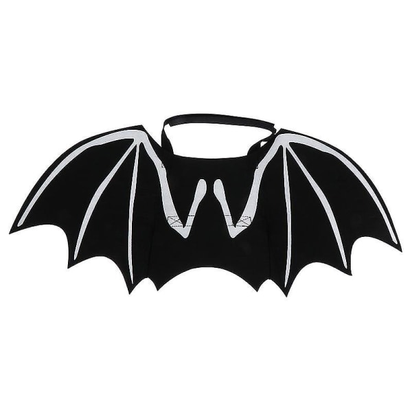 1 st Cat Bat Wings
