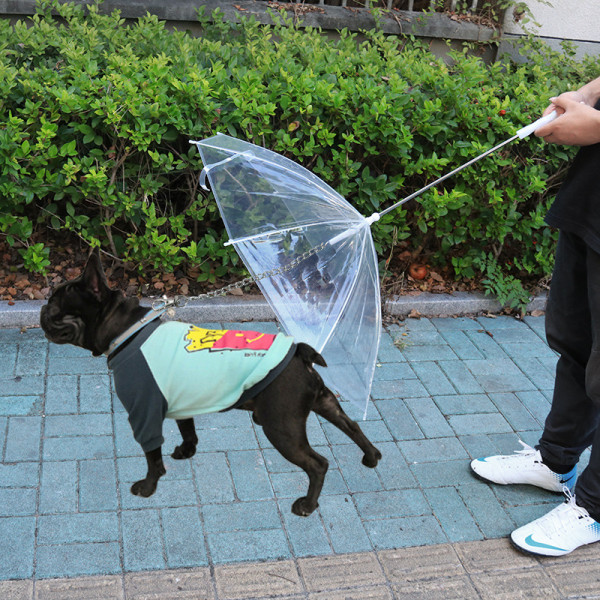 Hundeparaply Pet Paraply Bamser Små hundehvalpe