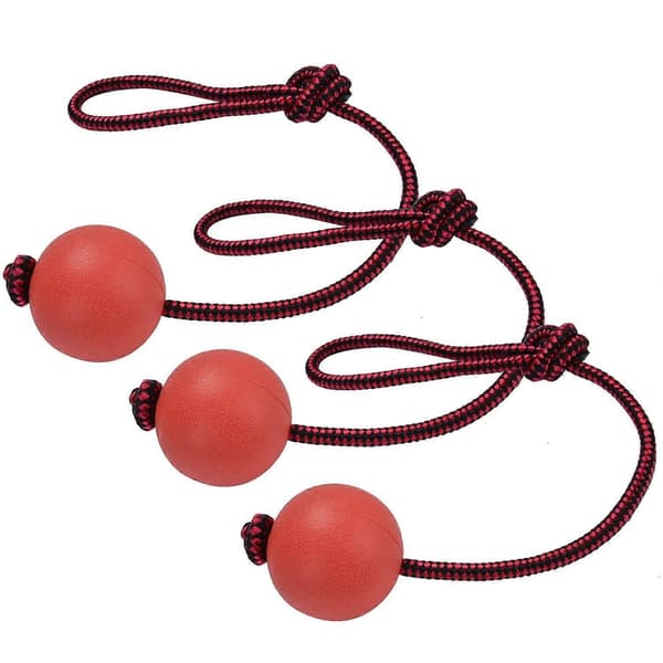 Hundleksaksboll | Hundboll med snöre | 3-pack hundleksaksbollar